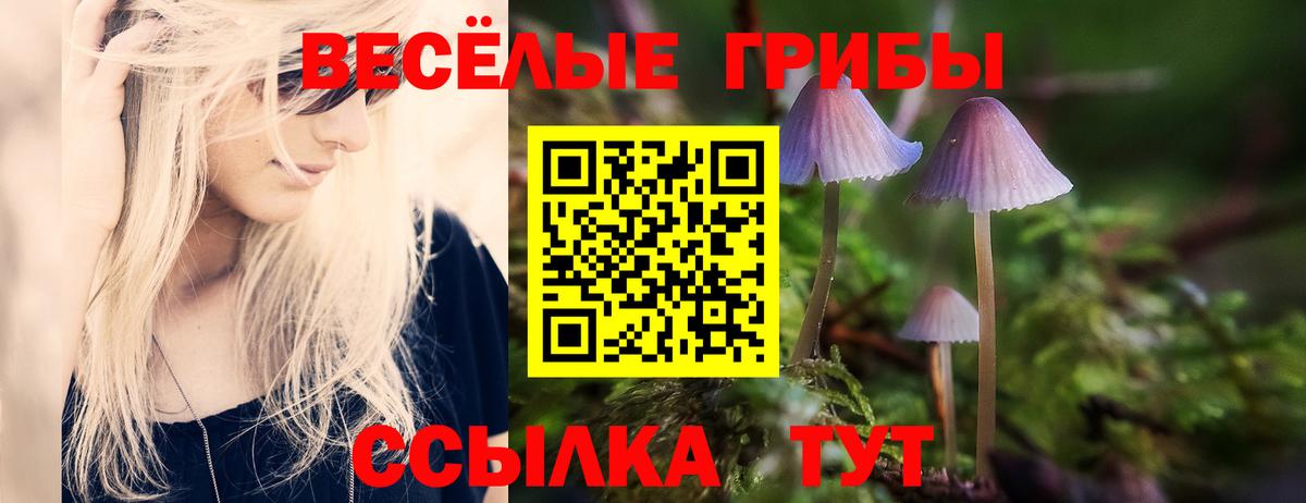 Лянтор  Галлюциногенные грибы Cubensis  Вход с VPN 